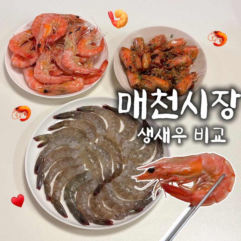 매천시장 생새우 시세 내돈내산 비교 추석 연휴 가볼만한 곳