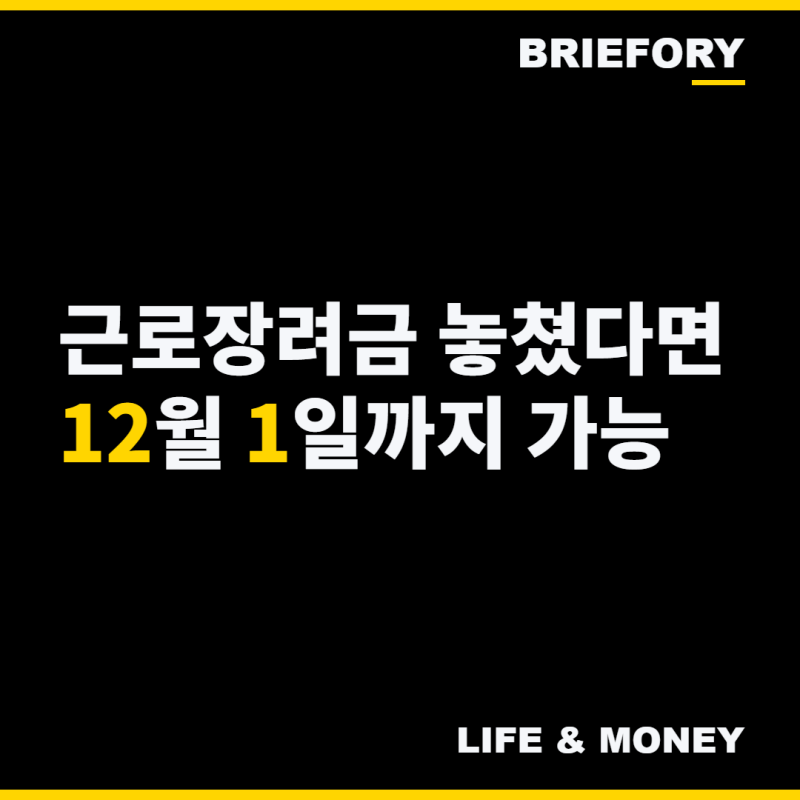"근로장려금 신청 못 했다면 아직 가능" 12월 1일까지 기한 후 신청, 330만원이면 얼마 받나