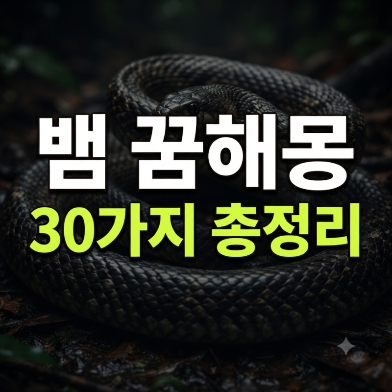 뱀 꿈해몽 30가지 총정리 (집에 뱀 나오는 꿈, 물리는 꿈, 태몽 길몽 흉몽)