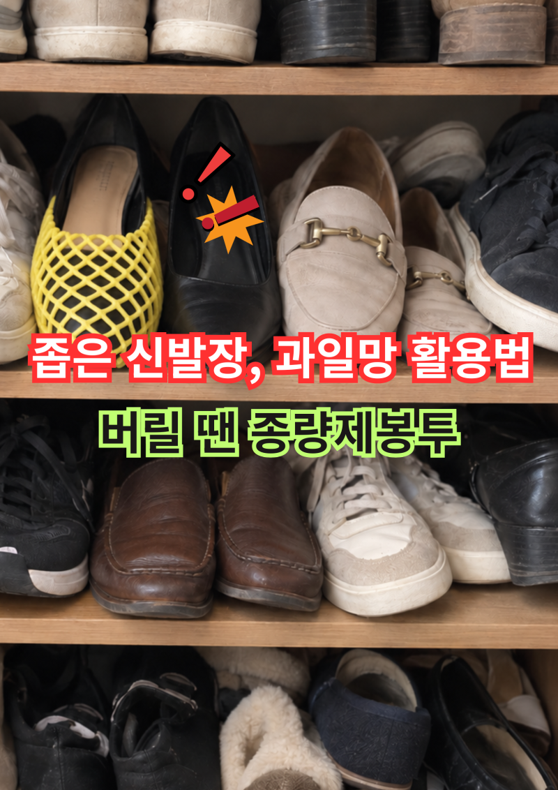 이사 가는 친구에게 알려줘요! 과일망 포장 재활용, 분리수거방법