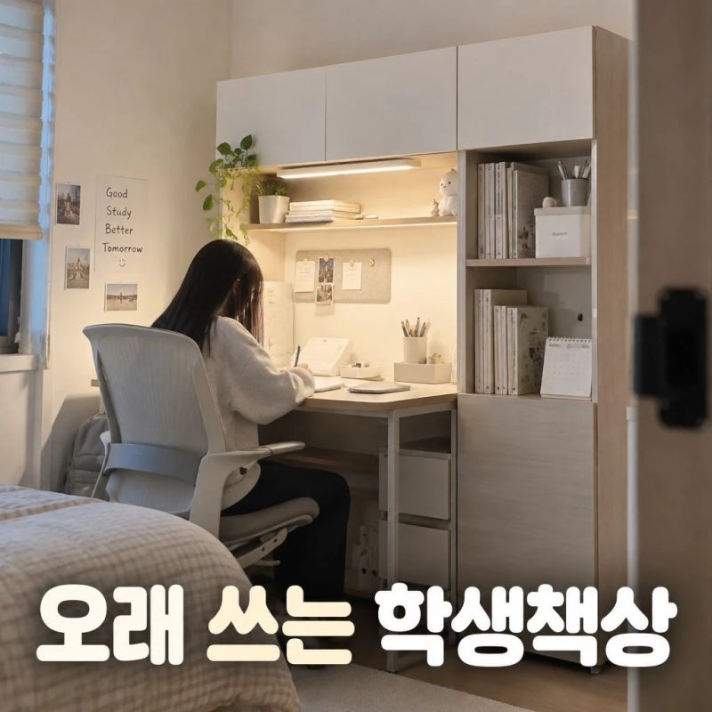 데스커 1200폭 5단 책상세트 조명 도어형 DSCJ125ALSN 솔직 정리