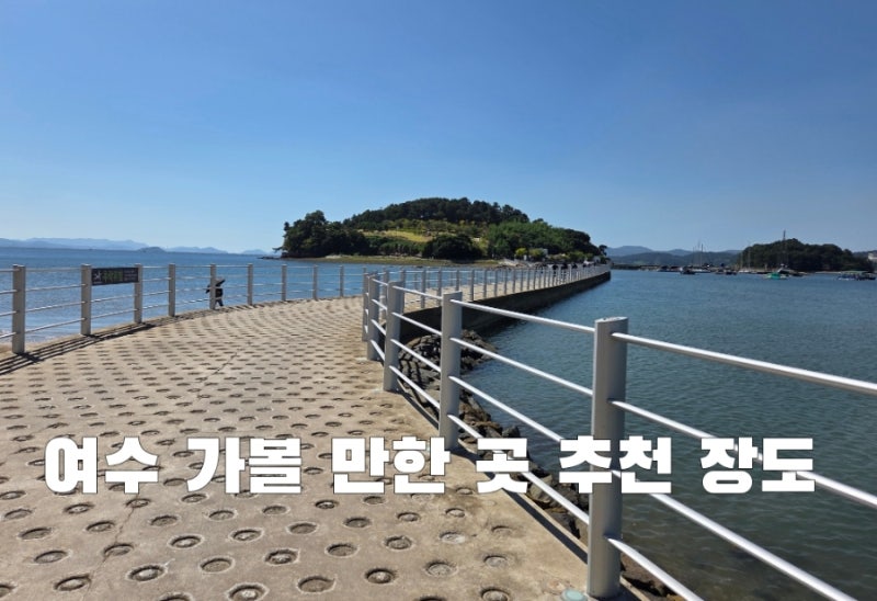 여수 가볼만한곳 장도 (물때 / 주차 / 맛집 강촌토종닭숯불구이)