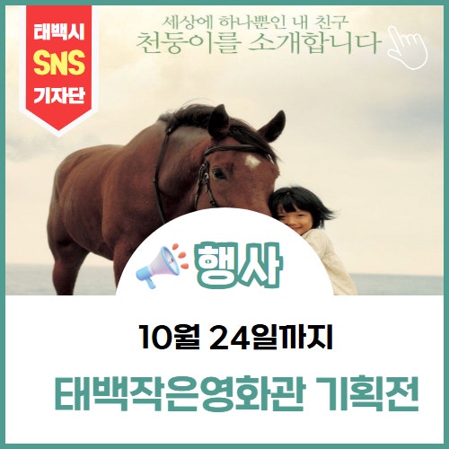[행사]태백작은영화관 기획전, 9월 5일부터 10월 24일까지