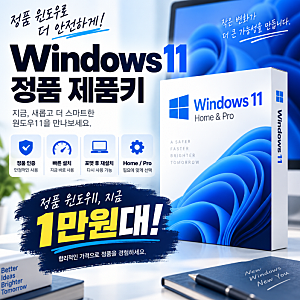 윈도우11 제품키 구매 전 확인! 이미 설치돼 있으면 키만 입력하면 될까? 윈도우키 저렴하게 ....