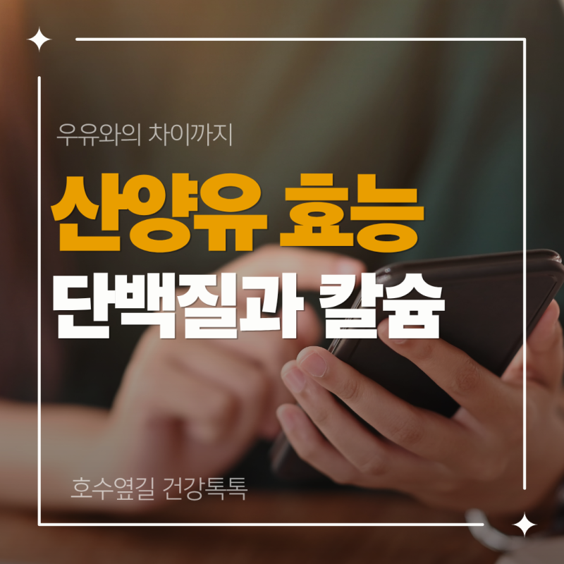 산양유 효능, 단백질과 칼슘부터 우유와의 차이까지
