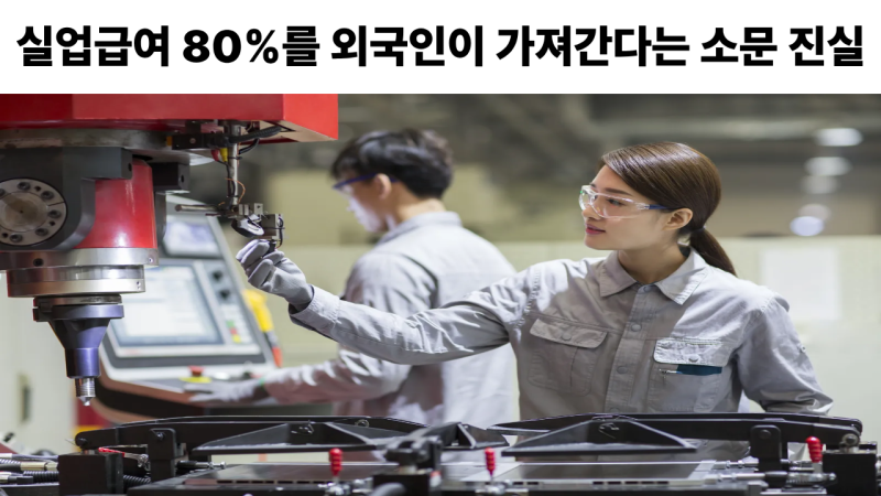 실업급여 80%를 외국인이 가져간다는 소문 진실과 실제수령 조건