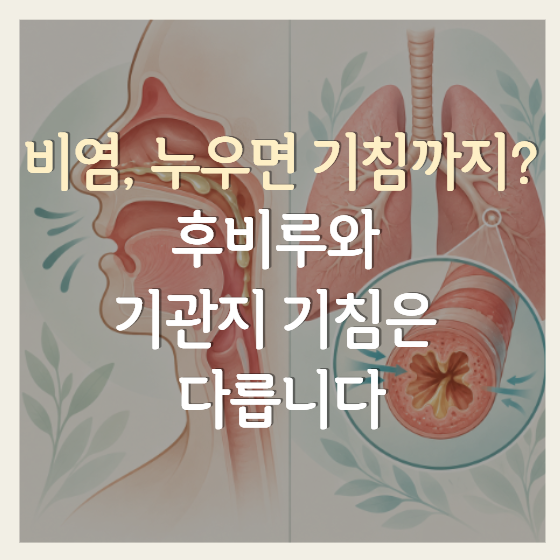 비염인데 밤에 기침이 심할 때… 후비루와 기관지 기침은 다릅니다