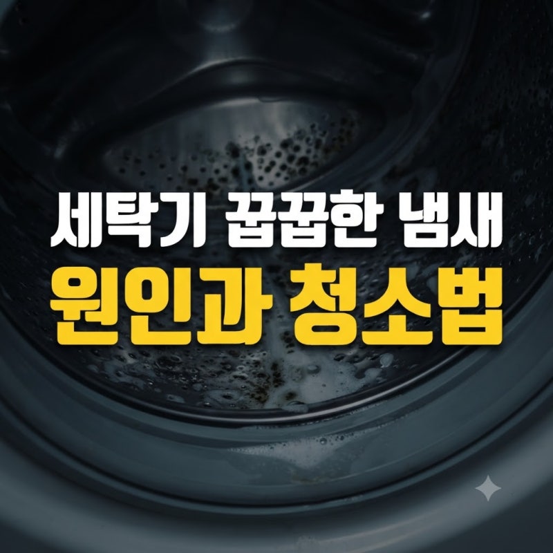 세탁기 꿉꿉한 냄새와 곰팡이 원인 및 통돌이 드럼세탁기 셀프 청소법
