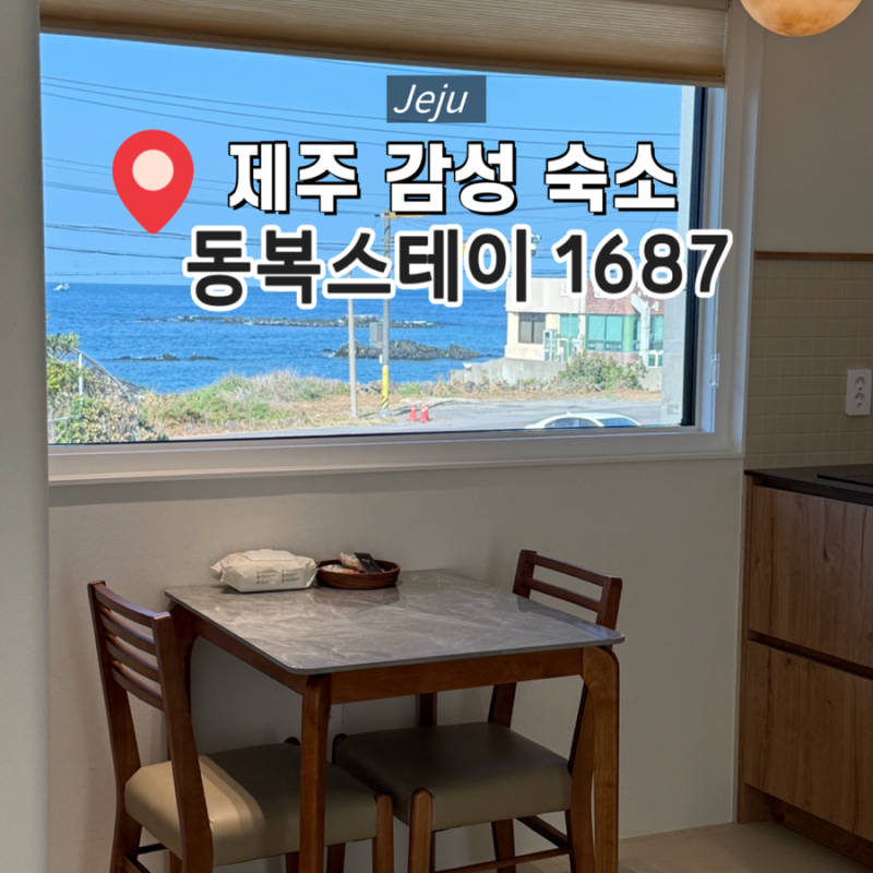 [제주] 동쪽 오션뷰 돌담 숙소 '동복스테이 1687' 바당동ㅣ함덕 근처 자쿠지 무료