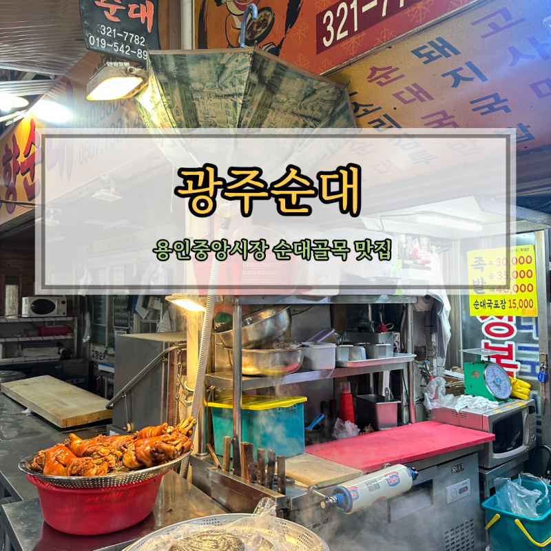 용인중앙시장 순대골목 맛집 광주순대 머리고기 수육 오소리감투