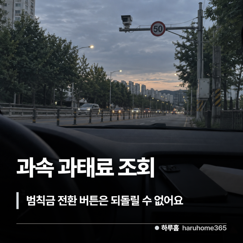 과속 과태료 조회, 되돌릴 수 없는 버튼이 화면에 하나 있어요