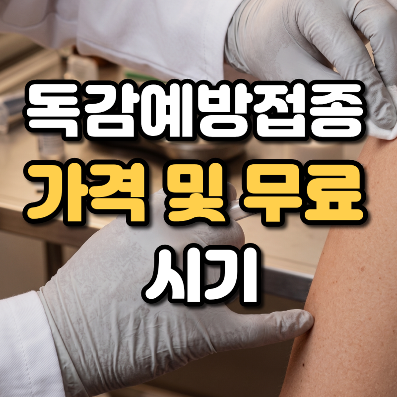 독감예방접종 가격 보건소 일반인 비용 및 무료 접종 시기 정리
