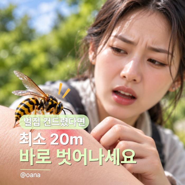 “벌 쏘이면 된장부터?” 아직도 믿었다면... 벌쏘였을때 민간요법 오히려 피하세요