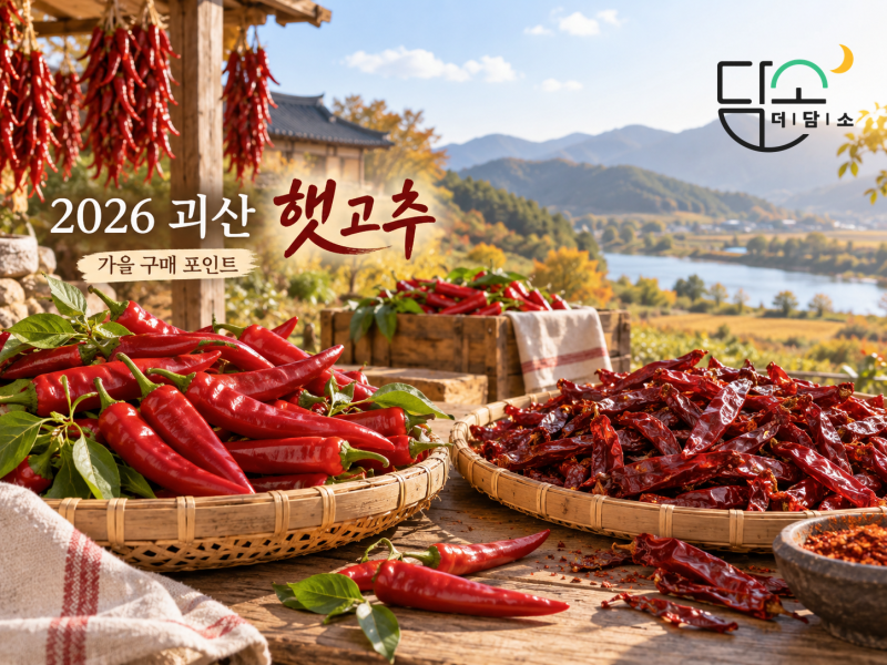 2026 괴산 햇고추 살 때 뭘 볼까? 건고추 가격·꼭지 유무부터 고춧가루 고르는 법까지