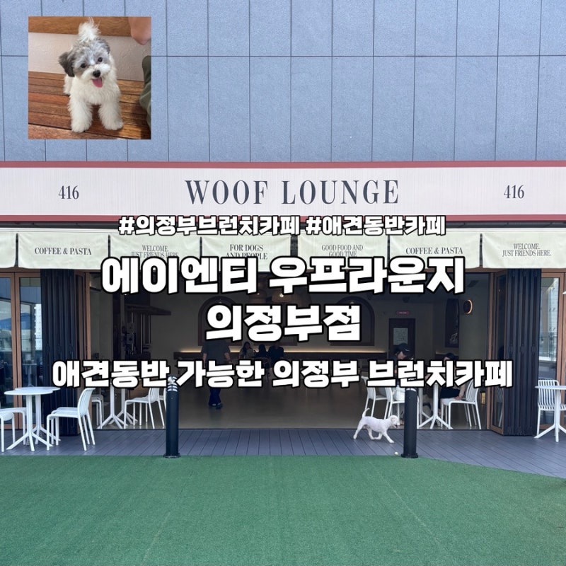 의정부 의정부카페, 에이엔티 우프라운지 의정부점: 애견동반카페