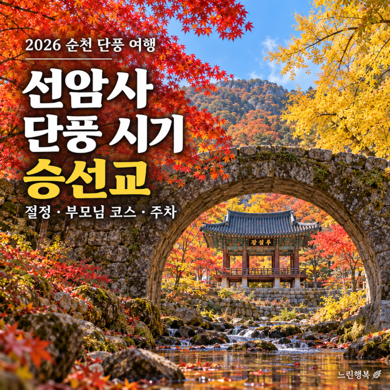 2026 전남 순천 선암사 단풍 시기｜절정 예상·승선교 포토존·부모님 아이 코스·주차·대중교....
