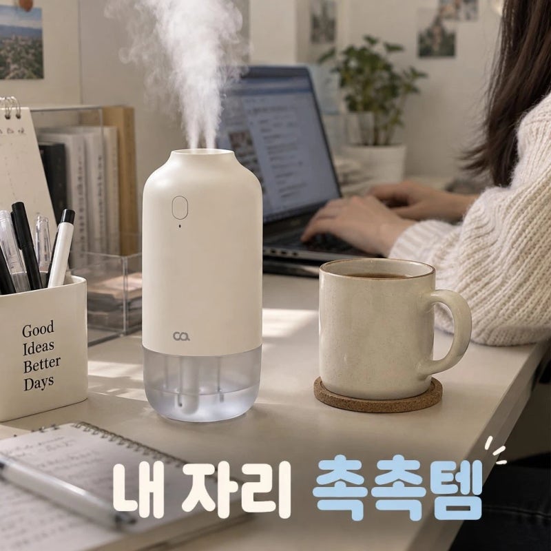 오아 듀얼미스트 무선 미니 가습기 사무실 책상 탁상용 차량 텀블러 추천