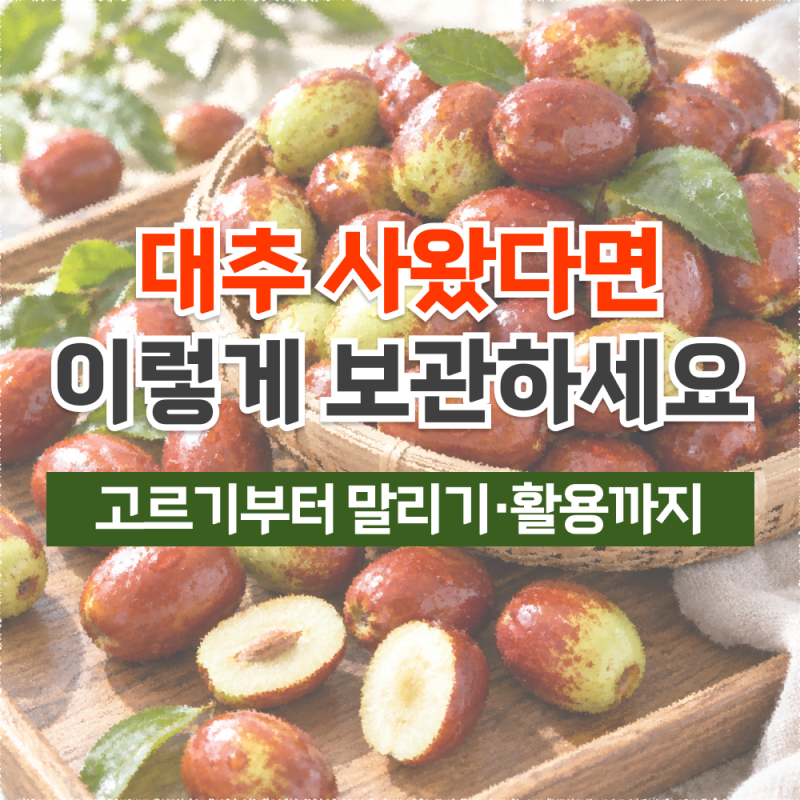 대추 보관법부터 활용법까지, 생대추의 모든 것