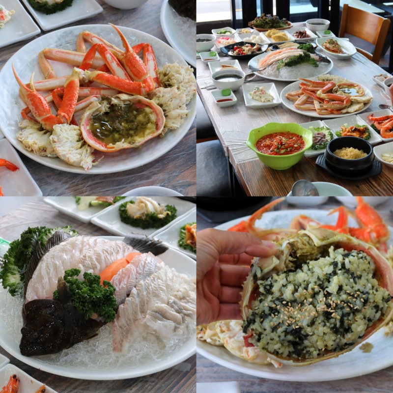 강원도 속초 맛집 속초 대게 횟집은? 장사항 오션뷰 이모회집