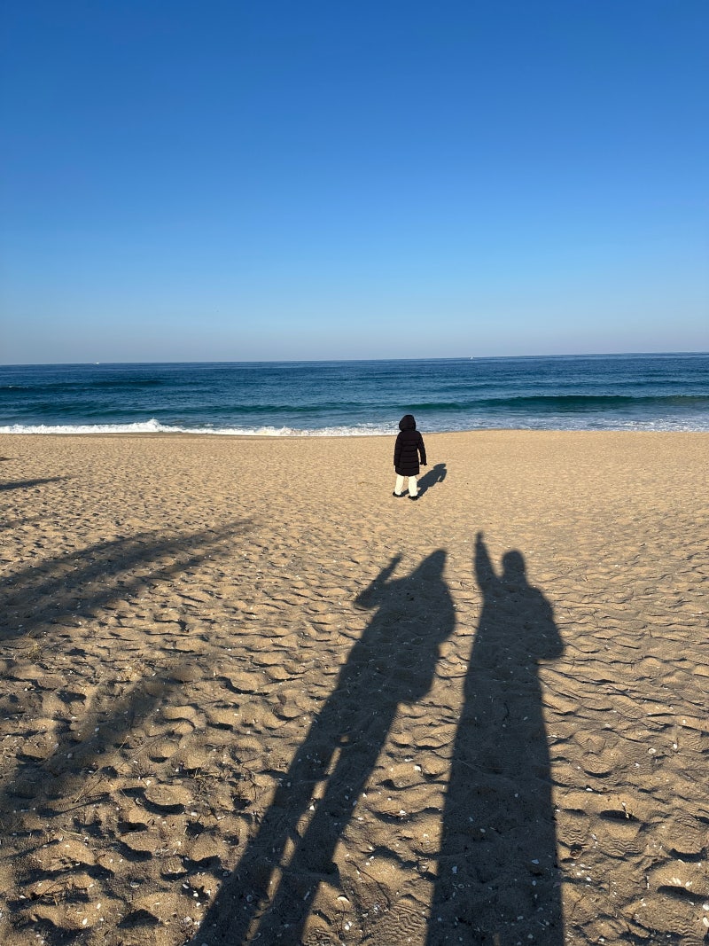 강릉 스카이베이호텔 가격 조식 사우나 식당 예약
