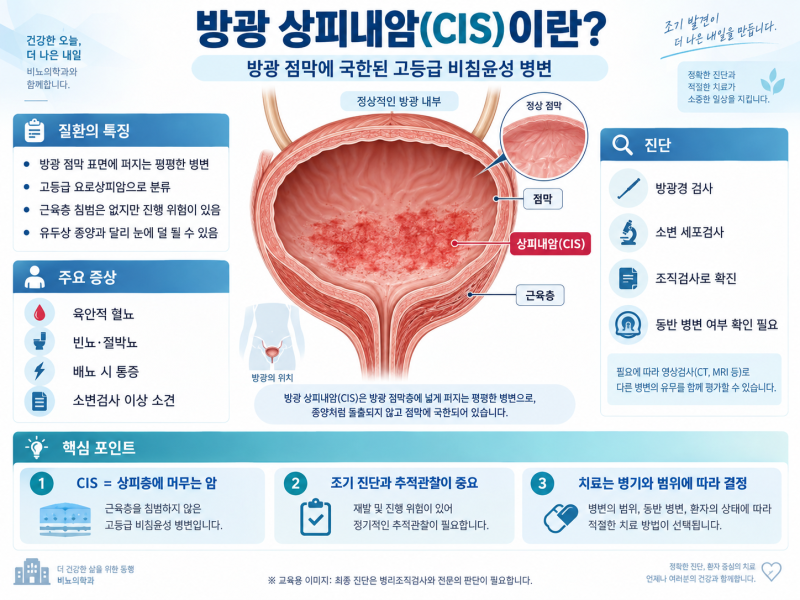 방광 상피내암(CIS), 어떤 검사로 ‘암 진단확정’이 되는가?_Prepared by 서호석손해사정사
