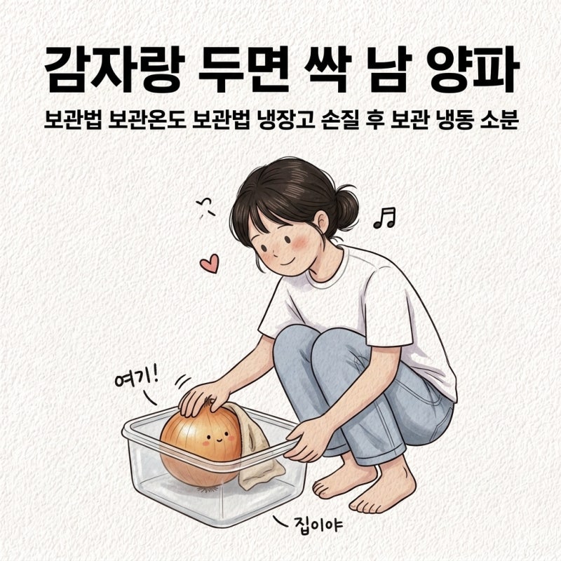 감자랑 두면 싹 남 양파 보관법 보관온도 보관법 냉장고 손질 후 보관 냉동 소분