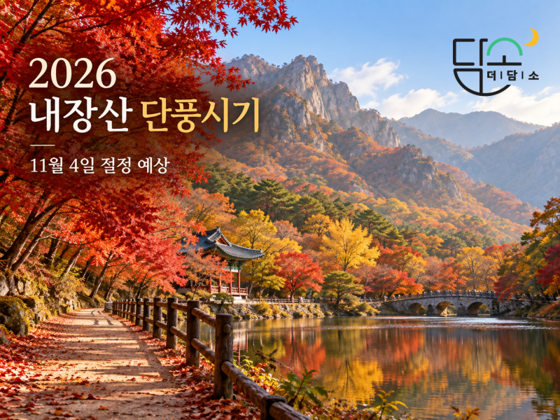 2026 내장산 단풍시기 언제? 11월 4일 절정 예상·108단풍터널·우화정 산책코스