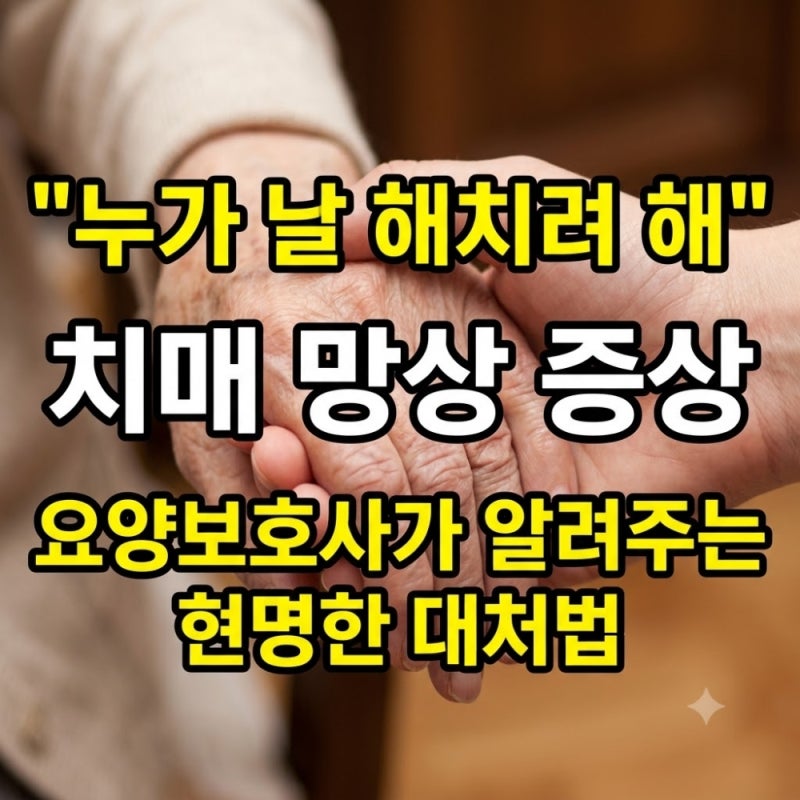 "누가 날 해치려 해" 치매 망상 증상, 요양보호사가 알려주는 현명한 대처법
