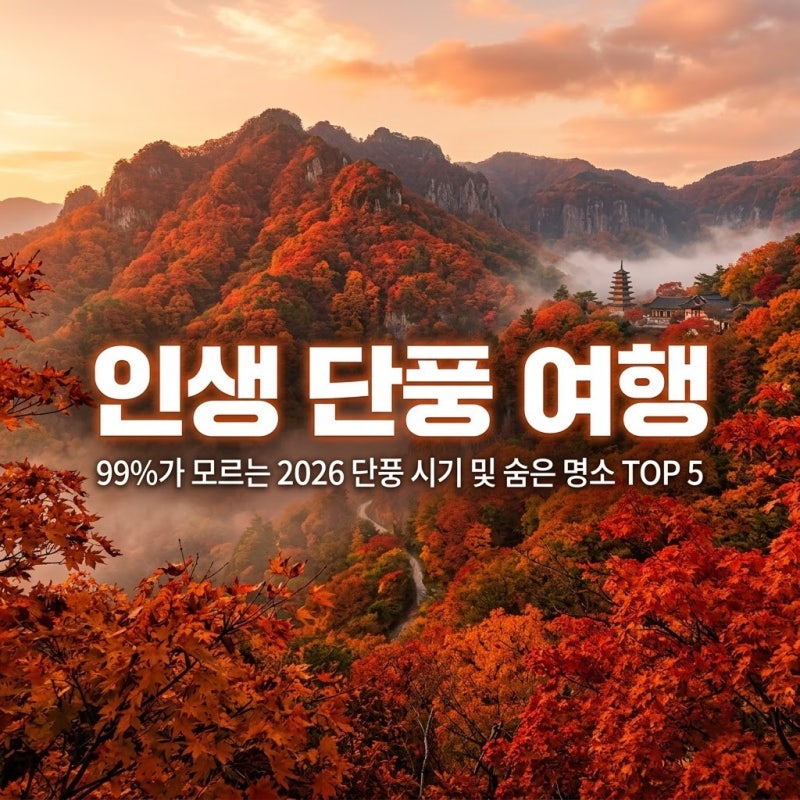 단풍 여행 실패 없는 완벽 가이드: 2026 단풍 시기·숨은 명소 TOP 5·내장산 코스