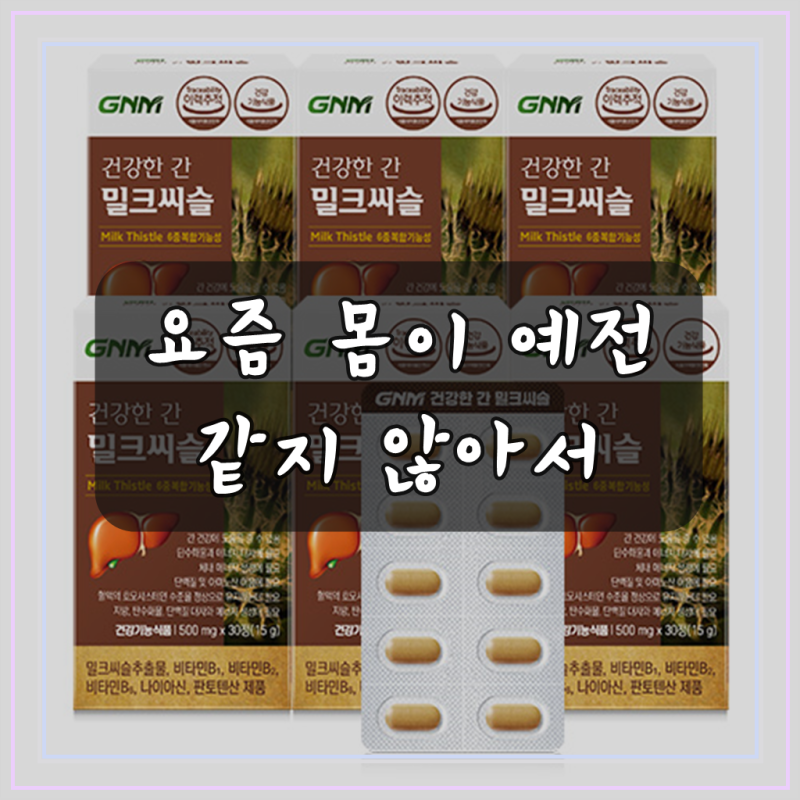 GNM자연의품격 건강한 간 밀크씨슬
