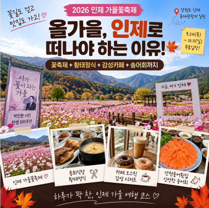 꽃만 보고 오면 손해입니다｜2026 인제 가을꽃축제 주변 맛집·카페까지 알려드려요