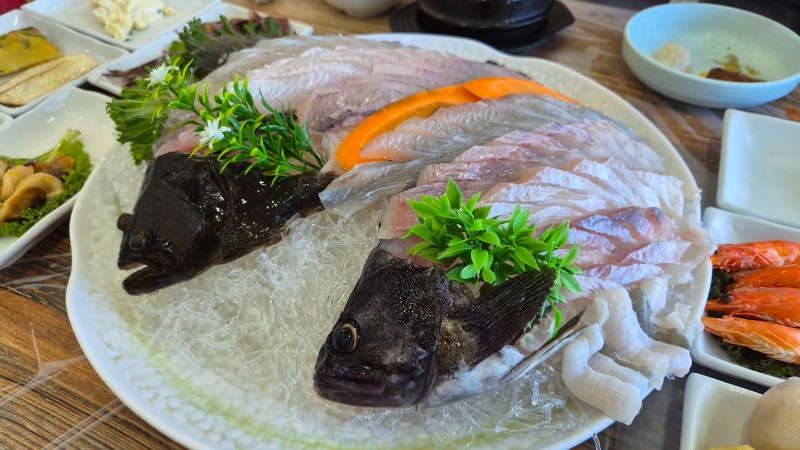 속초맛집 이모횟집 장사항 오션뷰 횟집에서 자연산 모듬회 갓성비 최상