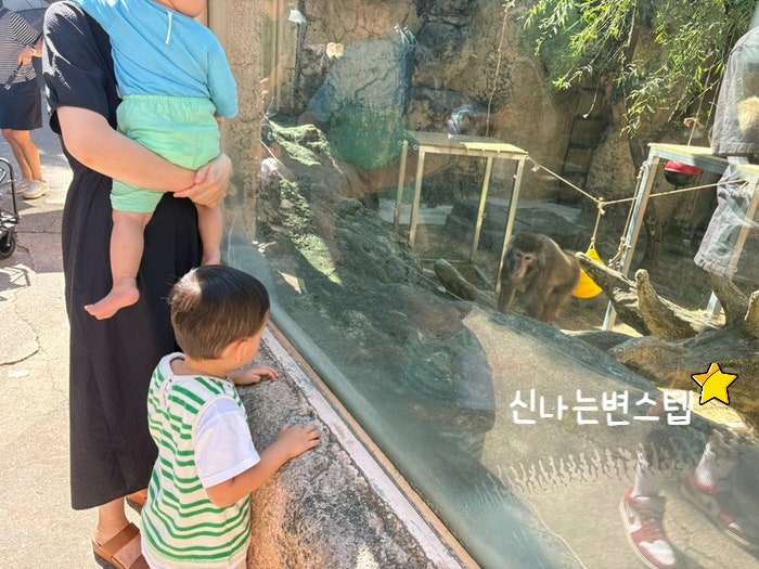 주말 어린이대공원 주차장 주차 꿀팁 아기랑 먹기 좋은 밀마당바지락칼국수 맛집 추천