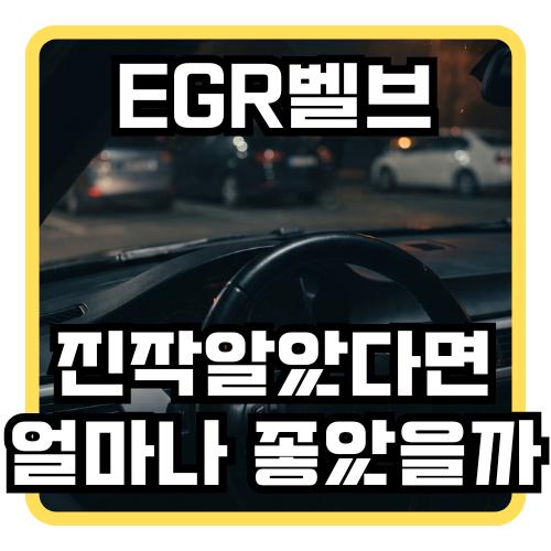이거 모르고 EGR밸브 손댔다가 엔진까지 교체할 뻔했습니다