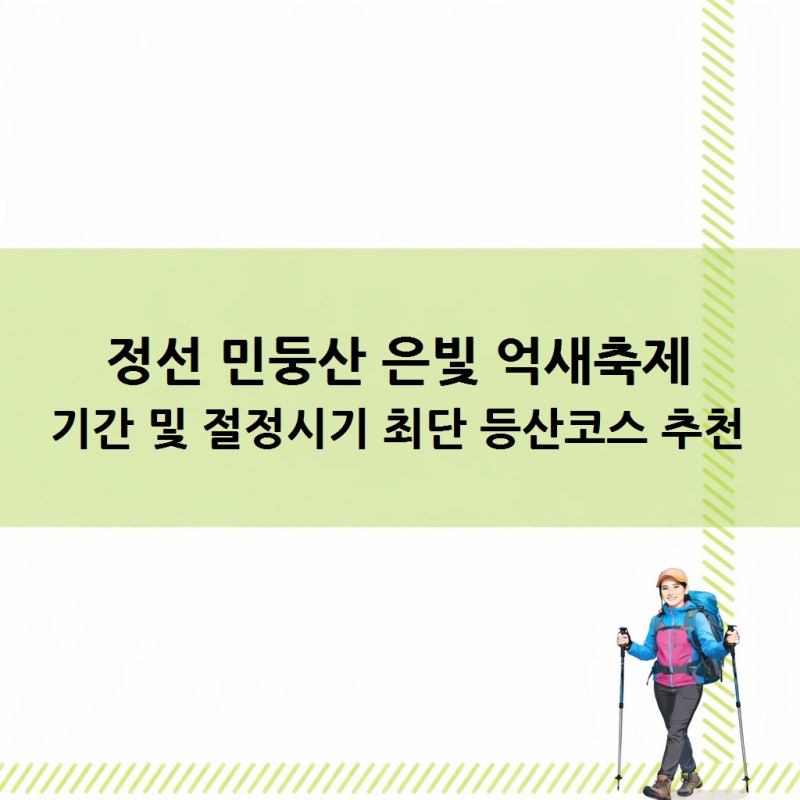 정선 민둥산 은빛 억새축제 기간 및 절정시기 최단 등산코스 추천