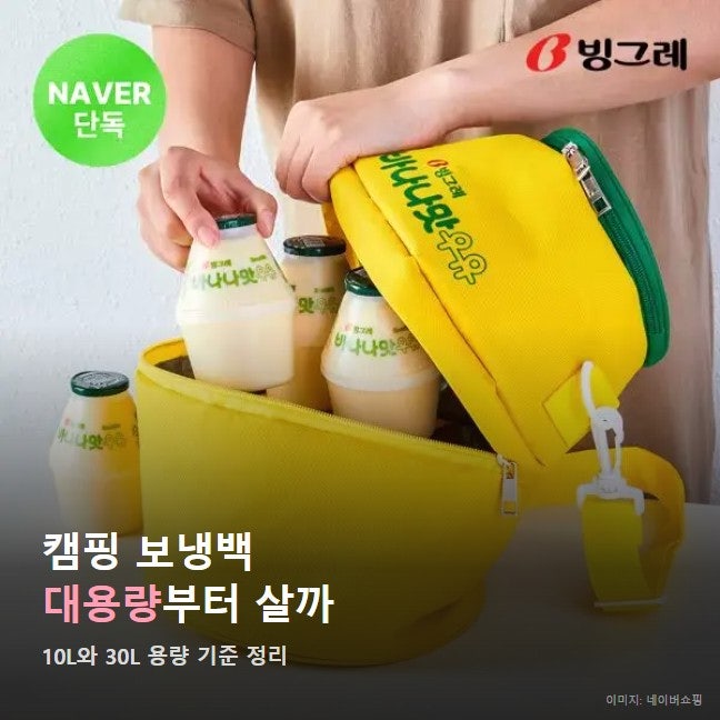 가을 캠핑 보냉백 추천 대용량, 초보가 빙그레 바나나맛우유 쿨러백이면 될까