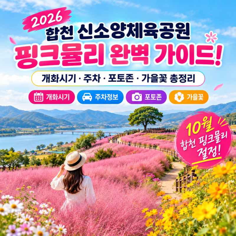 2026 합천 신소양체육공원 핑크뮬리 완벽 가이드! 개화시기·주차·포토존·가을꽃 총정리