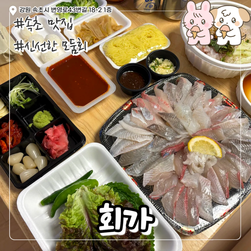 속초 회포장 맛집 회가, 이렇게 푸짐한 속초 가성비 횟집