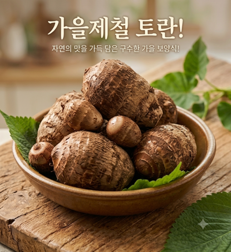 가을 제철 토란 효능부터 아린맛 없애는 손질법 보관법 총정리