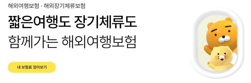 마이뱅크 vs 카카오페이: 유럽여행 여행자보험 2년 연속 비교 가입 노하우 (스페인/스위스 실....