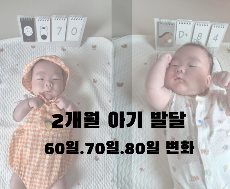 2개월 아기 발달 기록｜60일·70일·80일 변화와 터미타임