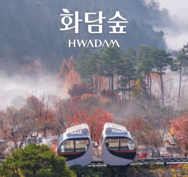 2026 화담숲 단풍 시기·예약·모노레일 총정리｜가을 가족여행 추천