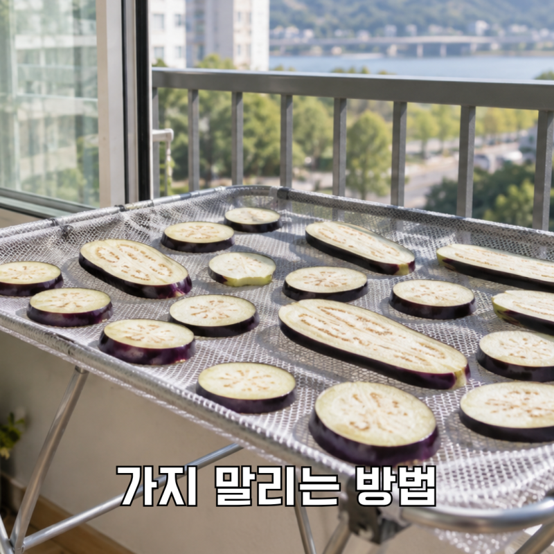 가지 말리기, 베란다에서 물러지지 않게 써는 방법과 보관법