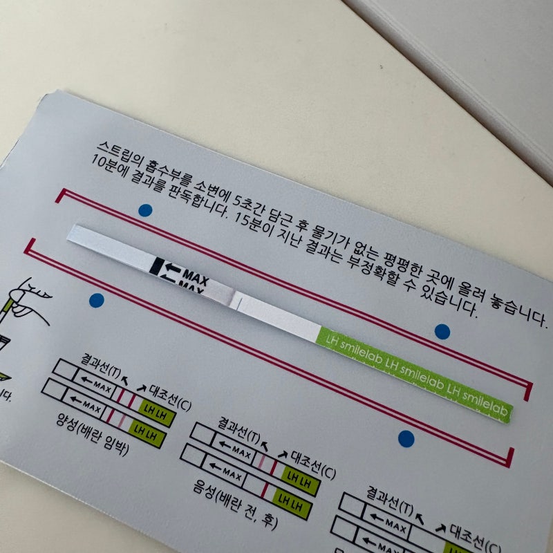 7주 계류유산 후 임신준비 다시 시작