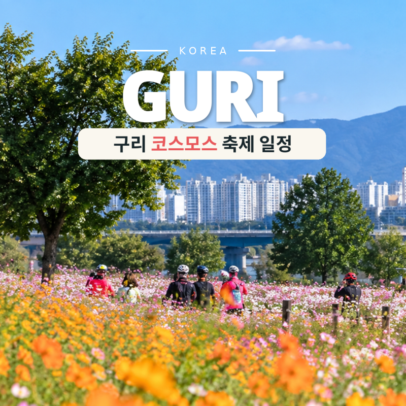 2026 구리 코스모스 축제 일정 주차 가는법 서울근교 가을 꽃축제