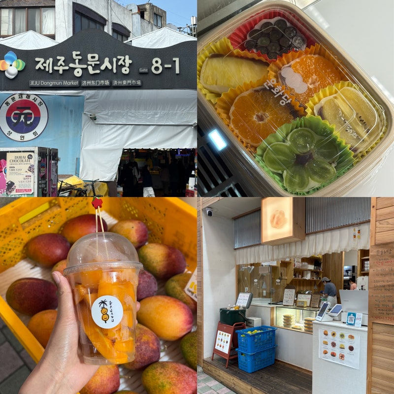 제주 동문시장 먹거리 추천 운화당, 야자수 애플망고 후기