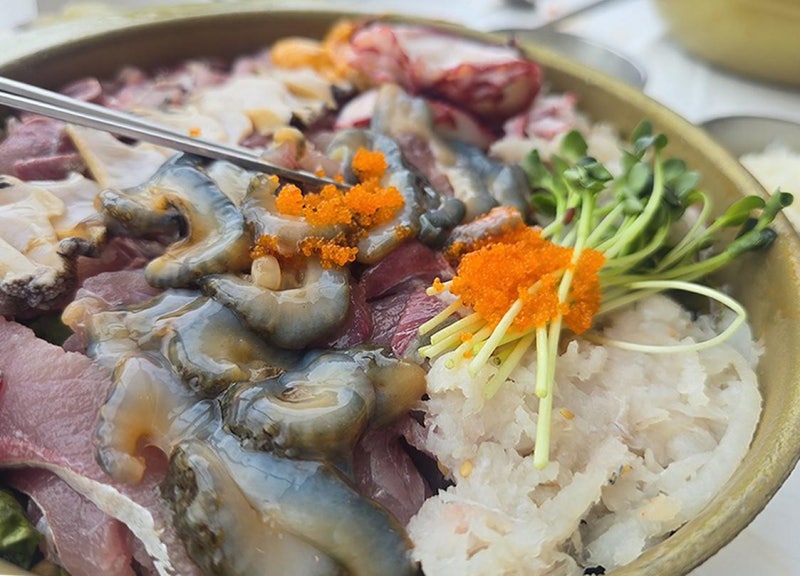 속초 청초호 포장도 되는 속초 맛집 추천