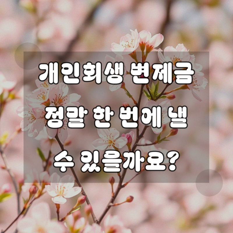 개인회생 금액 일시납, 신속하게 파악하기