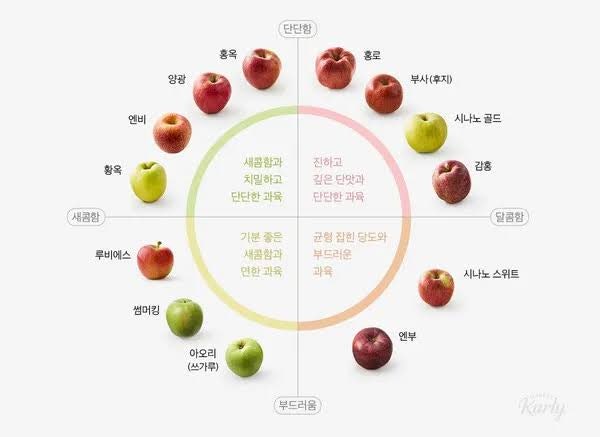 국내품종 맛있는 사과 종류 총정리