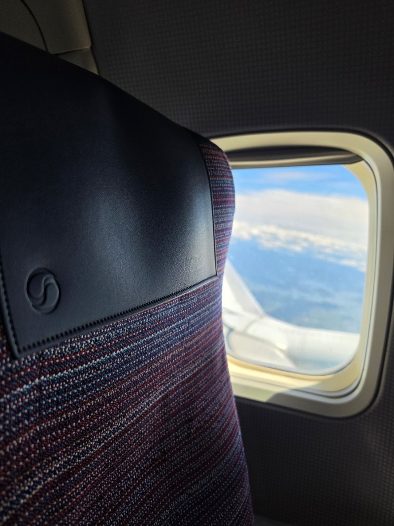 대구-제주행 비행기 대한항공 B737-900 ,아시아나항공 A321-200 좌석 추천 | 무료 비상구 좌석 꿀....